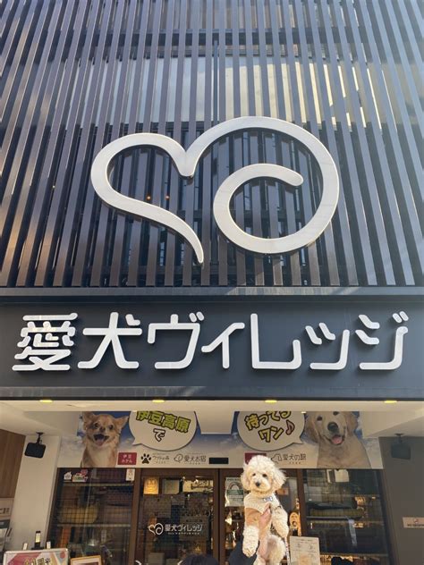 愛犬ヴィレッジ 閉店|愛犬ヴィレッジ カフェ 東新宿店 （【旧店名】ビスト。